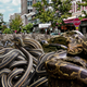 Image for article titled Scientists Warn Florida Will Be Under 6 Feet Of Snakes By 2021
